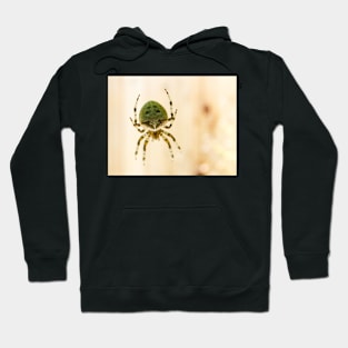 Cat Face Spider Hoodie